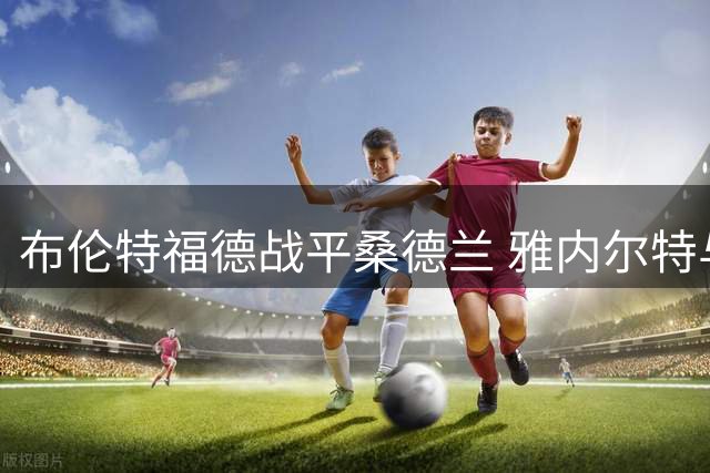 布伦特福德战平桑德兰 雅内尔特与勒费埃各建一功