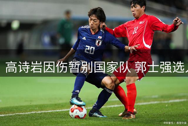 高诗岩因伤暂别国家队 郭士强选人标准引热议