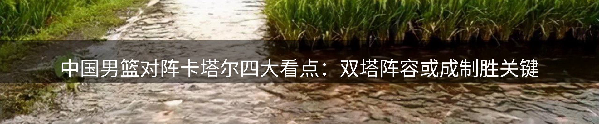 新闻资讯