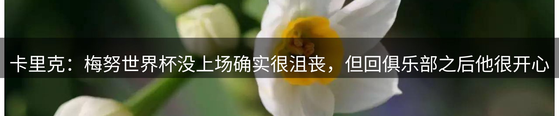 新闻资讯