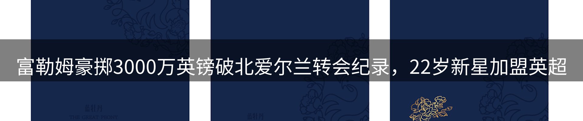 新闻资讯