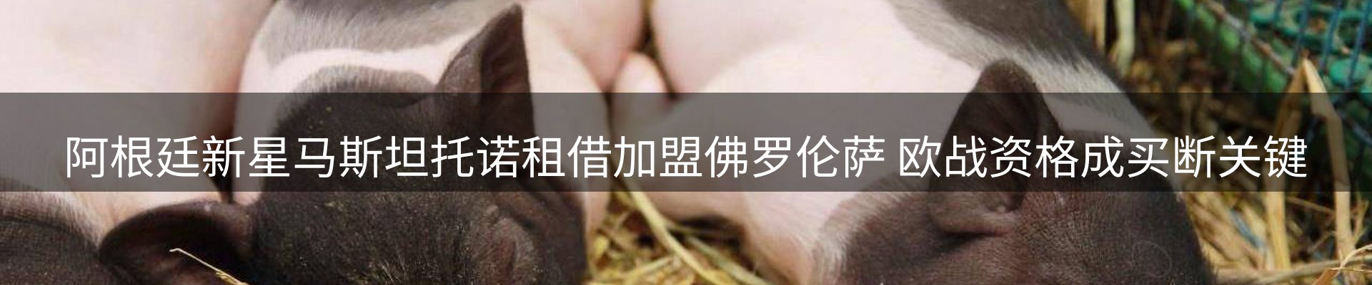 新闻资讯